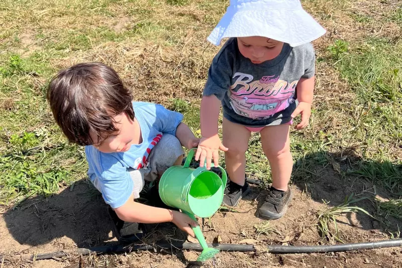 10 Common Vegetable Gardening Mistakes You're Probably Making