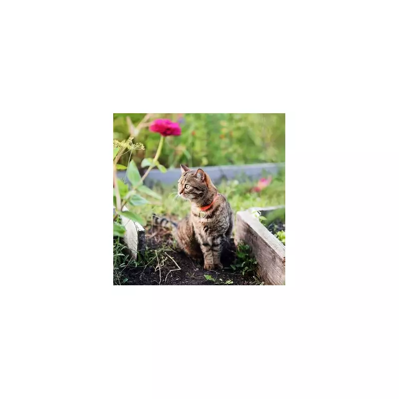 10 Genius Ways to Keep Cats Out of Your Garden – Naturally!