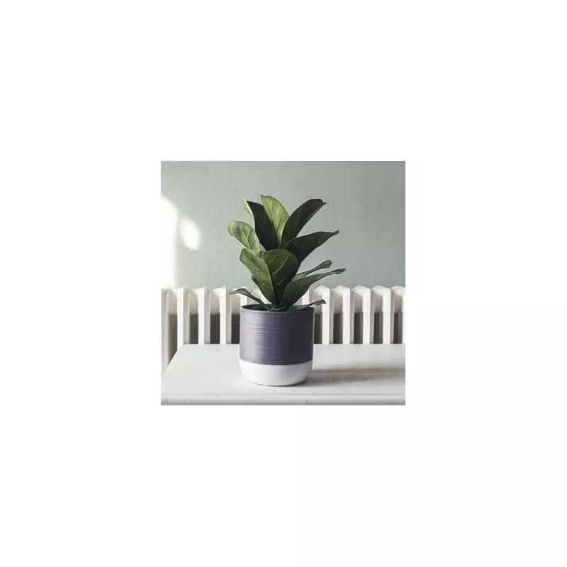 10 Indestructible Houseplants Perfect for Flats and Beginners