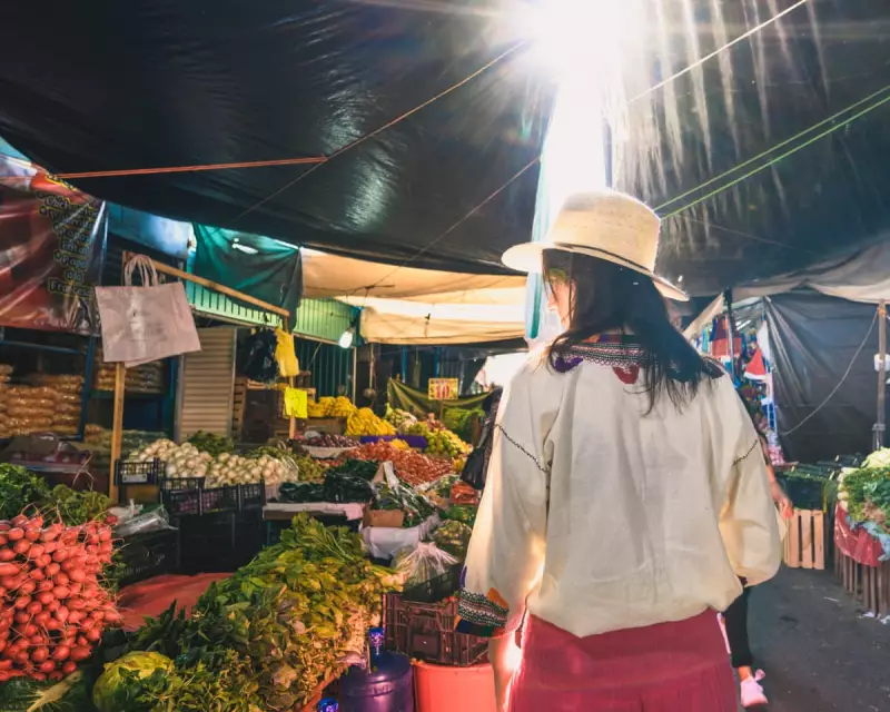 29 Essential Tips for a Perfect Vegan Holiday: Where to Go & How to Order