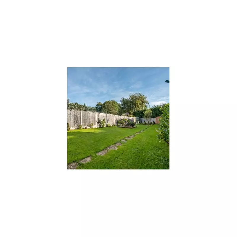 3 Simple Steps to Keep Your Lawn Lush and Green All Year Round