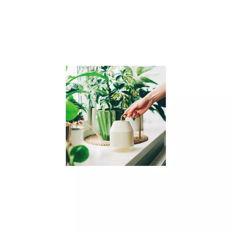 5 Best Houseplants to Beat the Heat and Cool Your Home Naturally