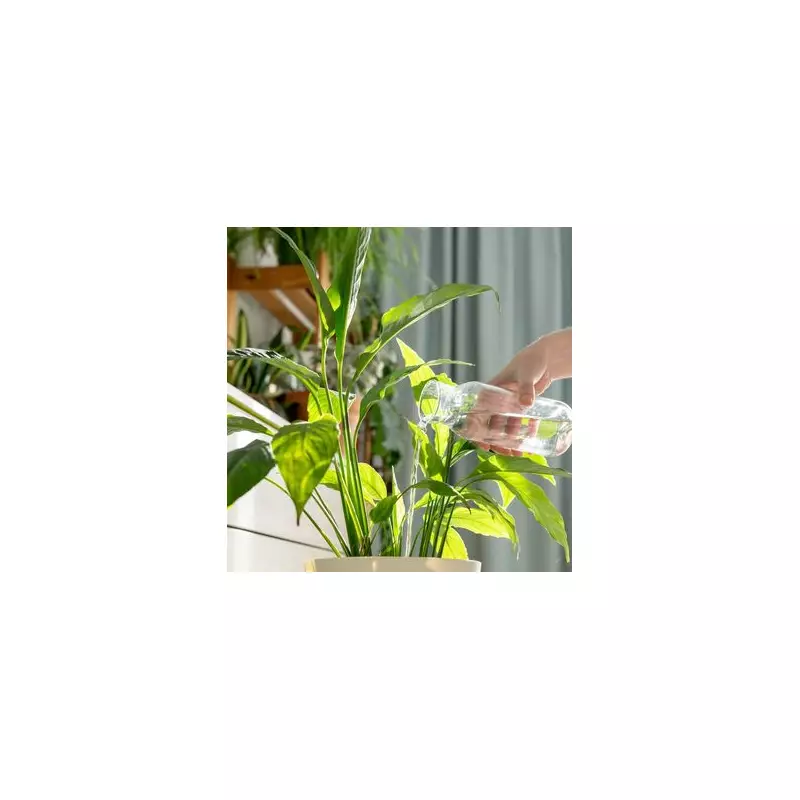 7 Genius Ways to Keep Your Garden Watered While You're on Holiday