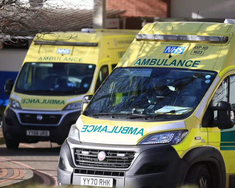 76-Year-Old Man Arrested Over Alleged Poisoning at UK Summer Camp