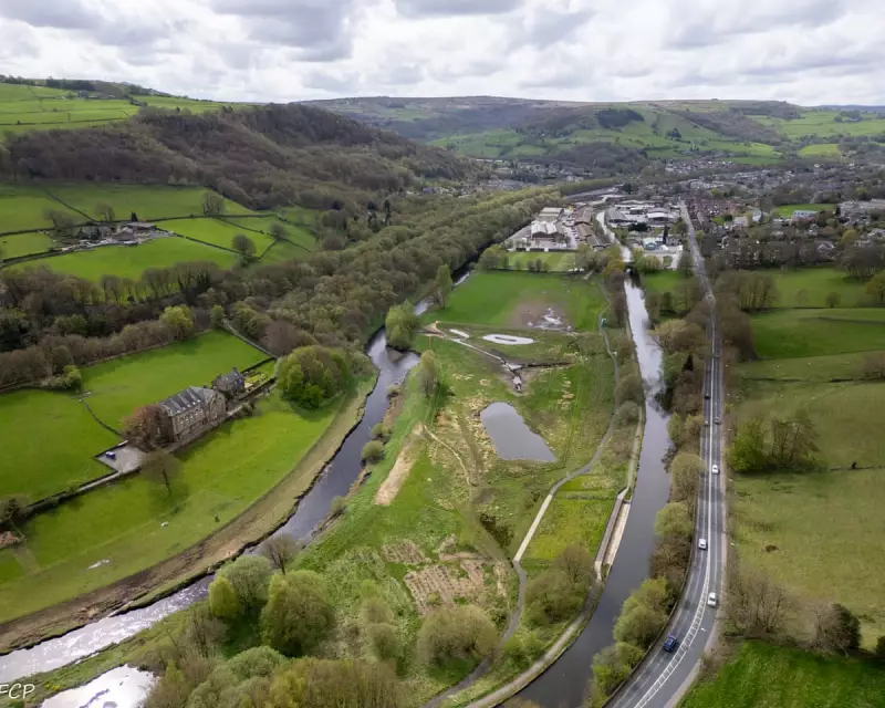 A Loofah-Like Wetland: The Surprising Transformation of a British Marshland