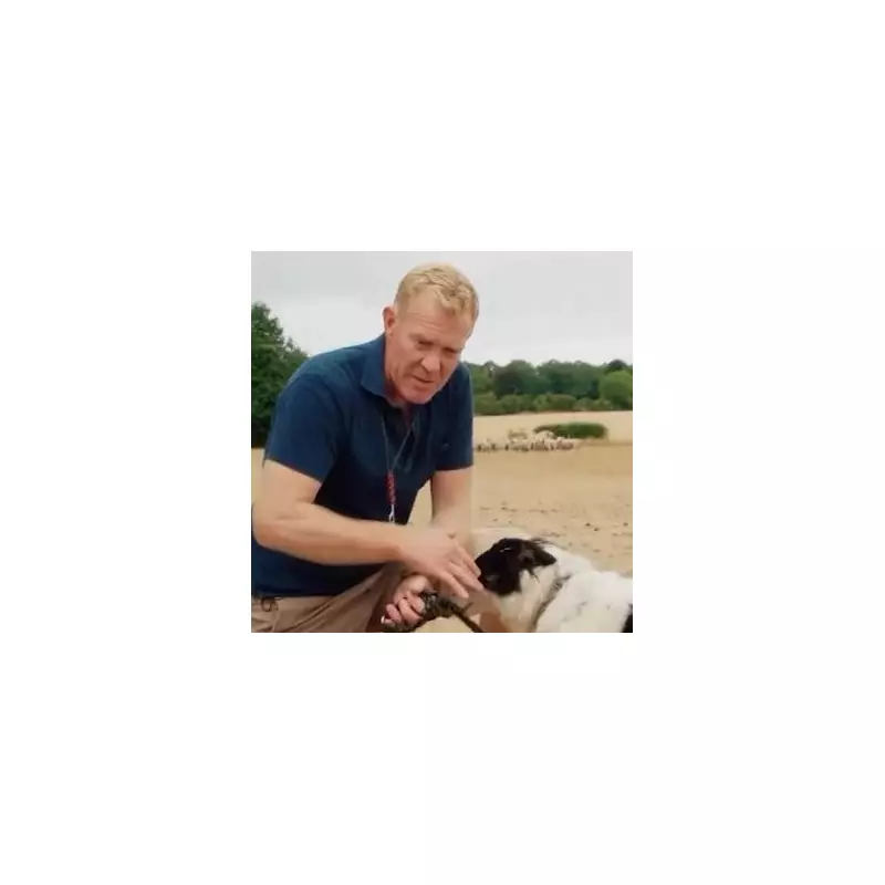 Adam Henson Steps Back from BBC's Countryfile After 18 Years – What's Next for the Farming Star?