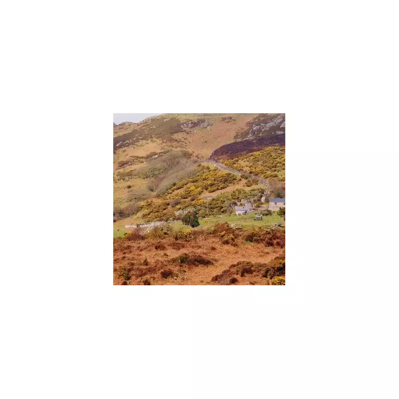 Affordable & Stunning UK Stays: Hidden Gems for Budget Travellers