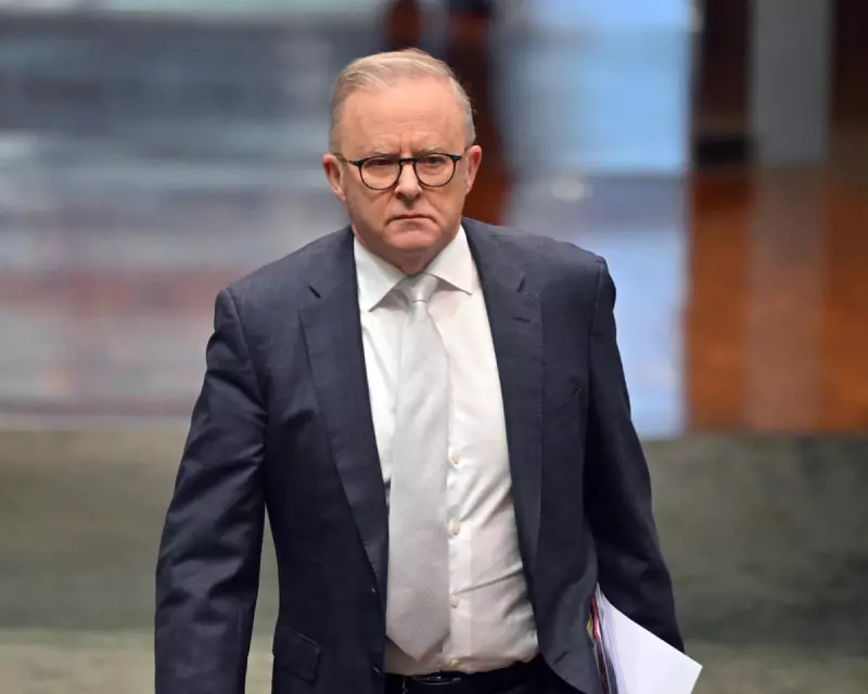 Albanese Faces Pressure Over Palestine Recognition Amid US Trade Tariff Concerns