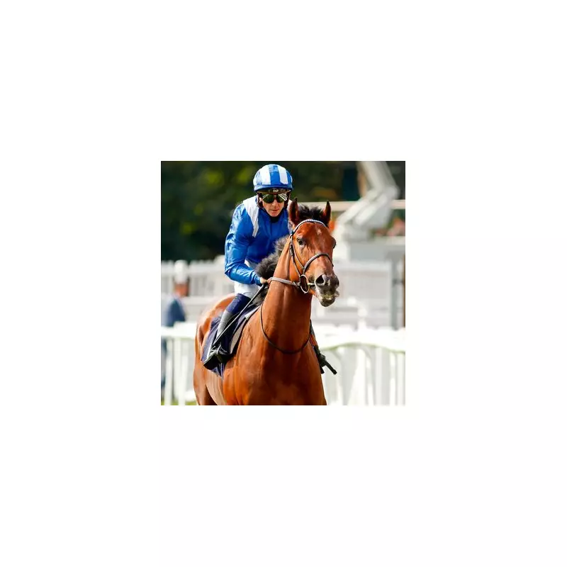 Almeraq Storms to Victory in Stewards' Cup at Goodwood, Defying Odds