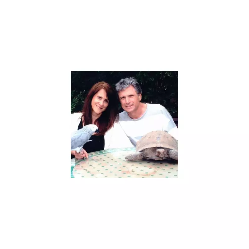 American Idol Shake-Up: Katy Perry Announces Exit After Seven Seasons