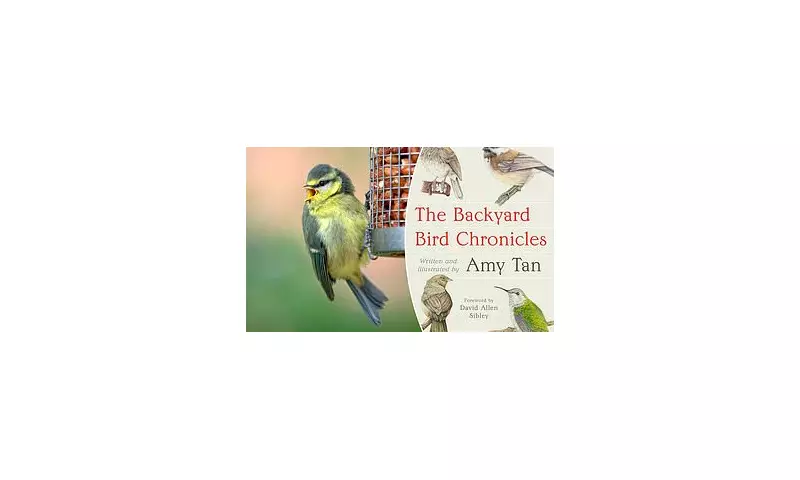 Amy Tan's 'The Backyard Bird Chronicles': A Heartfelt Ode to Nature and Birdwatching