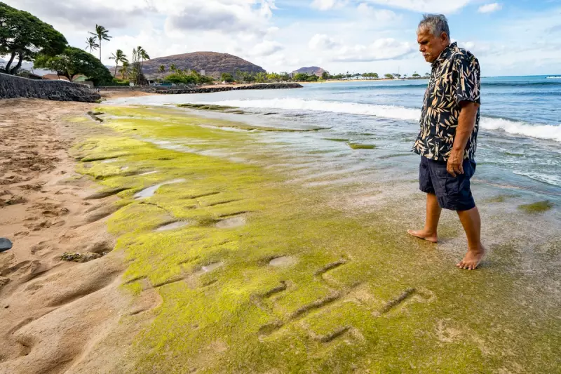 Ancient Hawaiian Petroglyphs Revealed by Shifting Sands on Waianae Coast