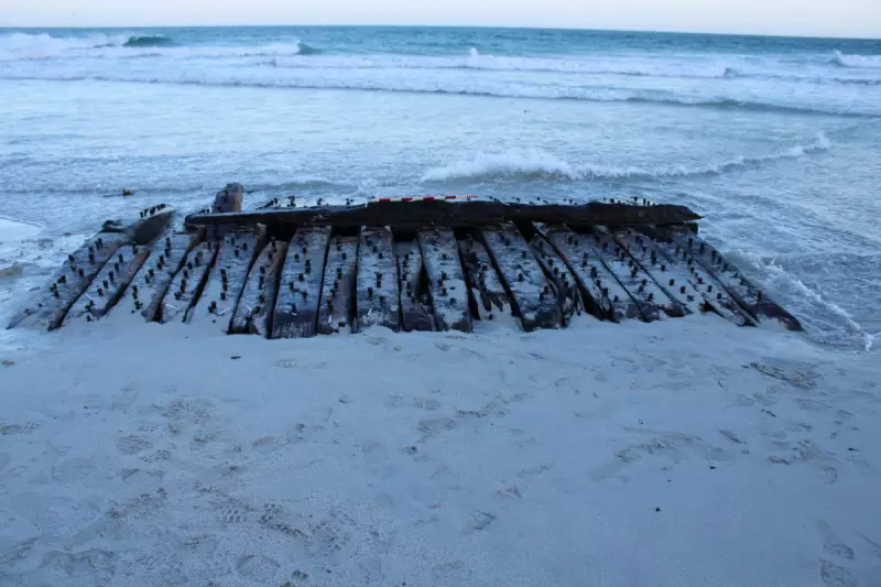 Ancient Scottish Trees Reveal Secrets of Arctic Climate Shifts