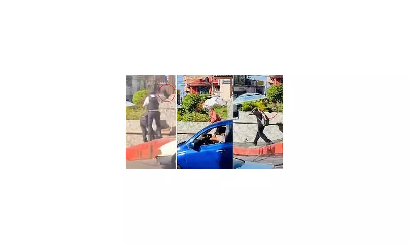 Angry Birds Go Wild: Flock Launches Divebomb Attack on Puzzled Passersby Protecting Chicks