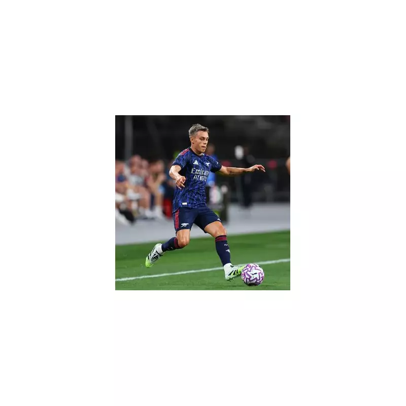 Arsenal's Summer Transfer Strategy: Who's In and Who's Out?