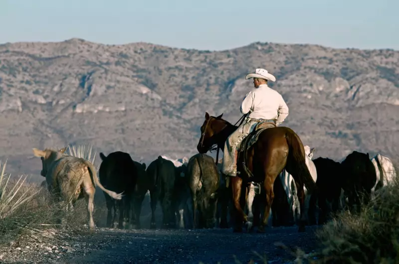 Australia Lifts Ban on US Beef, Citing Enhanced Biosecurity Measures