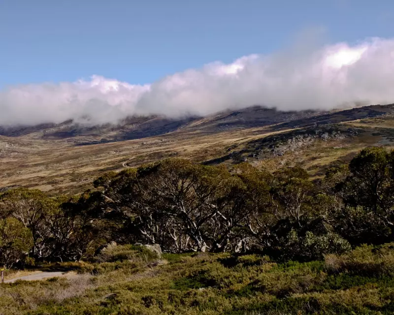 Australia's Political and Economic Landscape: Key Updates on Childcare, Economy, and More