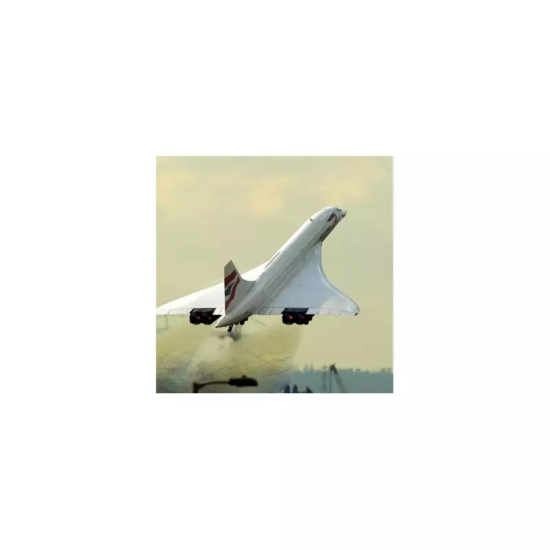 Aviation Experts Slam UK Government's 'Empty Promises' on Flight Delays and Cancellations