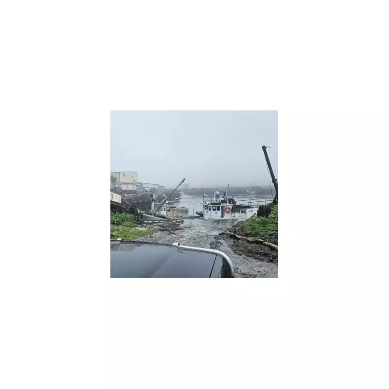 Baba Vanga's Shocking Predictions: Did She Foresee Today's Global Turmoil?