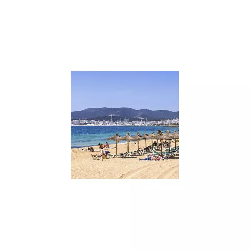 Beach Panic: Popular Spanish Holiday Spot Evacuated After Shark Sighting Sparks Chaos