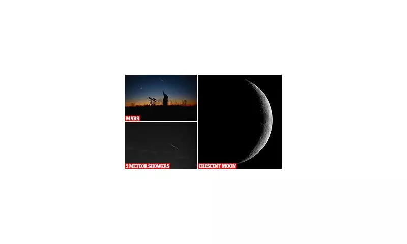 Best Night for Stargazing This Summer: Don't Miss the Spectacular Meteor Showers!