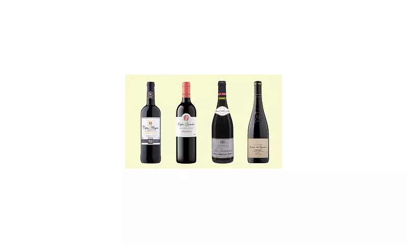 Best Red Wines to Pair with Your Summer BBQ: Top 10 Picks