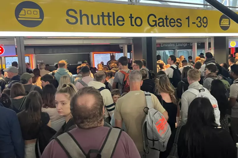 Best Time to Fly: Expert Tips to Avoid Airport Chaos and Save Money