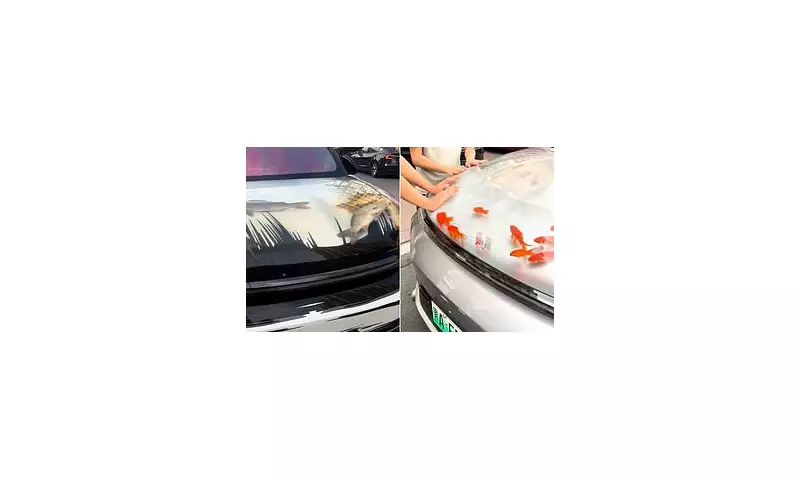 Bizarre Road Rage: Driver Turns SUV Bonnet Into Live Carp Fish Tank in Shocking Viral Video
