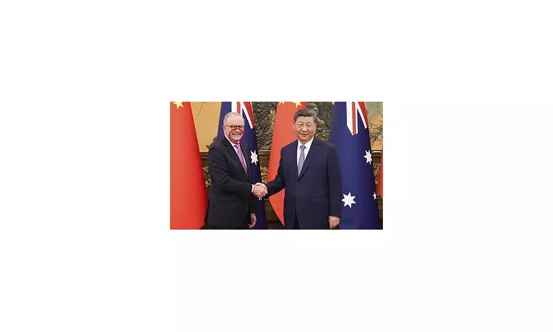 Body Language Decoded: How Albanese and Xi's Meeting Revealed Hidden Tensions