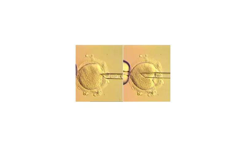 Breakthrough in IVF: Eight Healthy Babies Born in UK Using Revolutionary Three-Person Technique