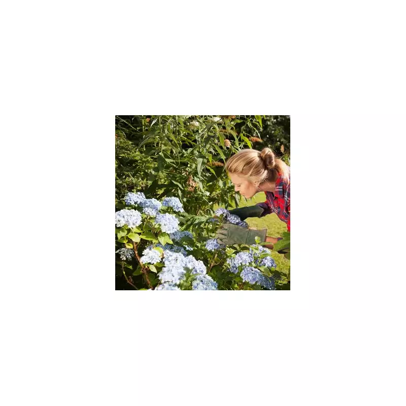 Bring Your Wilting Hydrangeas Back to Life with These Expert Gardening Tips