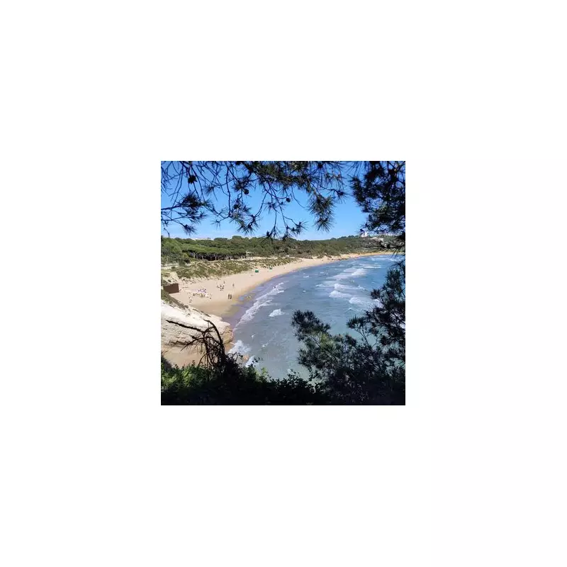 British Family Trapped in Gaza Receives Psychological Aid Amid Crisis