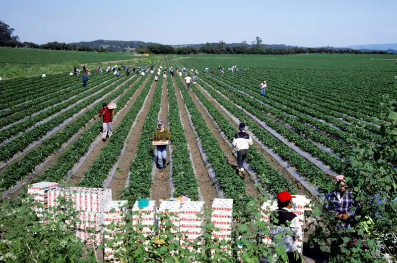 California Water Crisis: Trump-Era Pesticide Policies Blamed for Rising Pollution