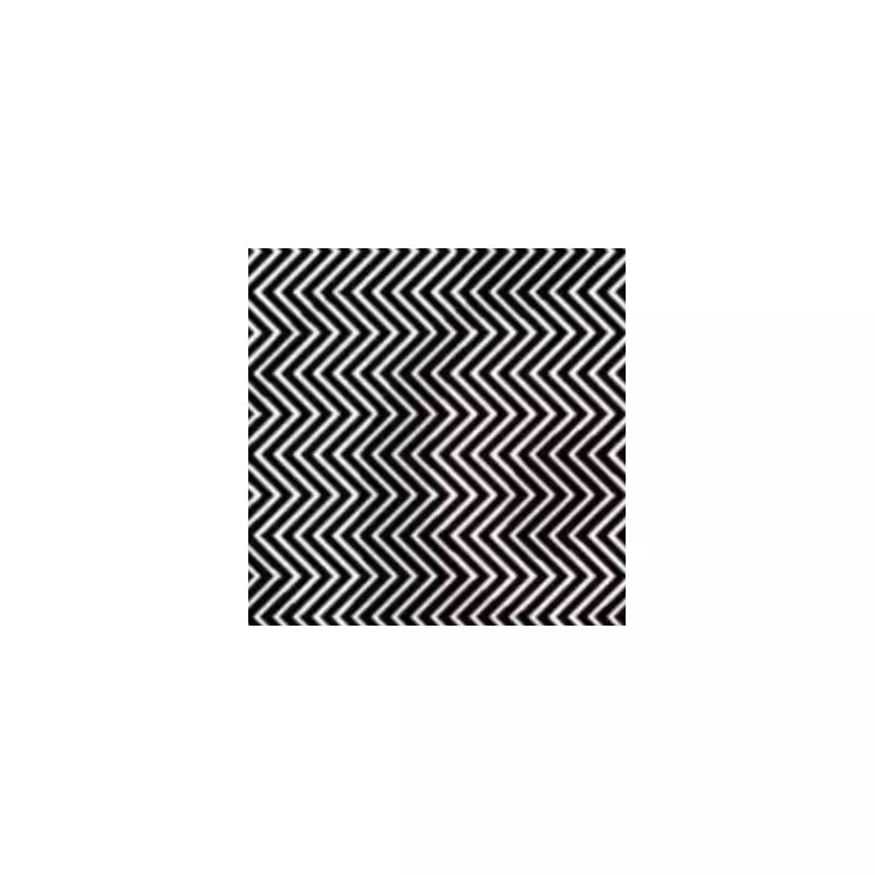 Can You Spot the Hidden Animal? This Mind-Bending Optical Illusion Has Everyone Stumped!