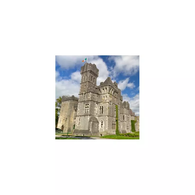 Chart-Topping Musician Stuns Fans with Surprise Performance at Stranger's Wedding