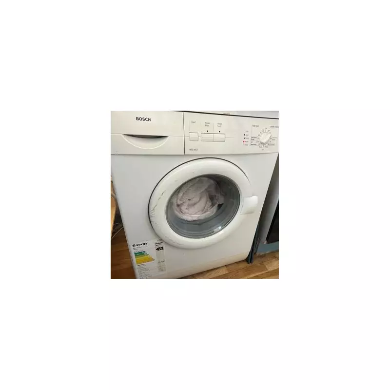 Cheap Washing Machine Hack: Keep Your Laundry Fresh for Longer