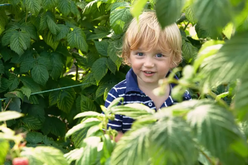 Children Prefer Lettuce to Sweets in Groundbreaking Butterfly Conservation Study