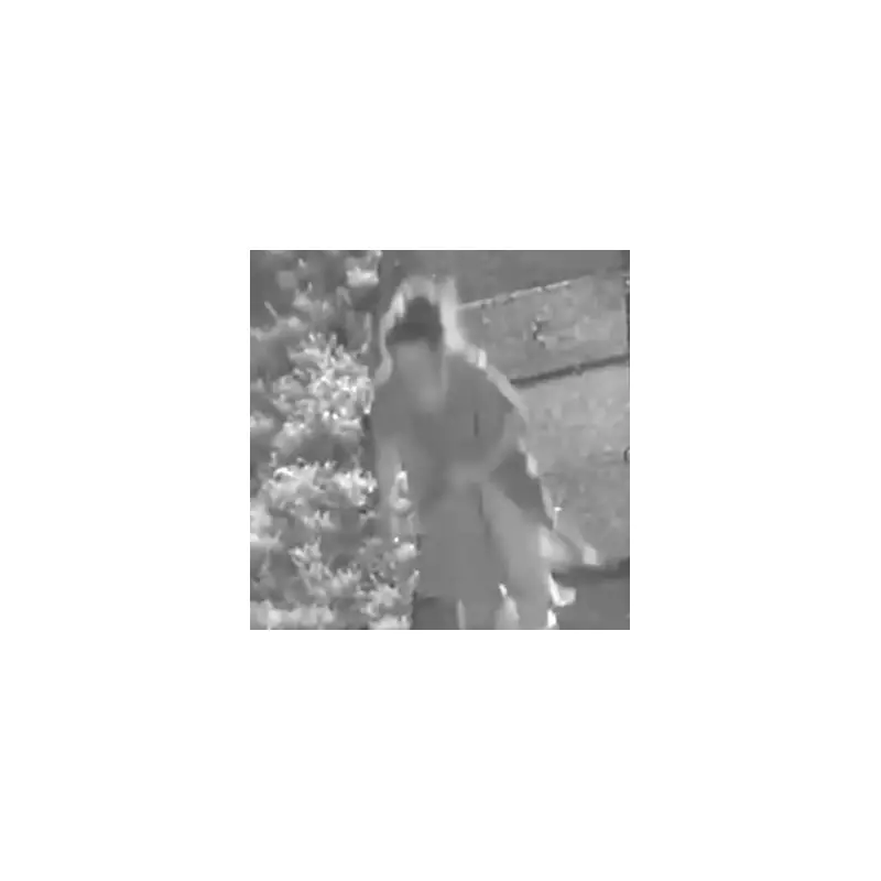 Chilling Moment Kirsty Carless Stalks Ex-Partner with Knife Before Fatal Stabbing