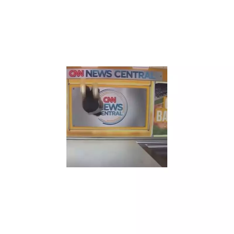 CNN Hosts Stunned as Guest's Shocking Claim About Trump Leaves Studio in Silence