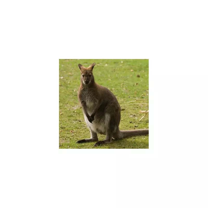 Could You Soon Holiday in a Historic UK Prison? New Plans Revealed!