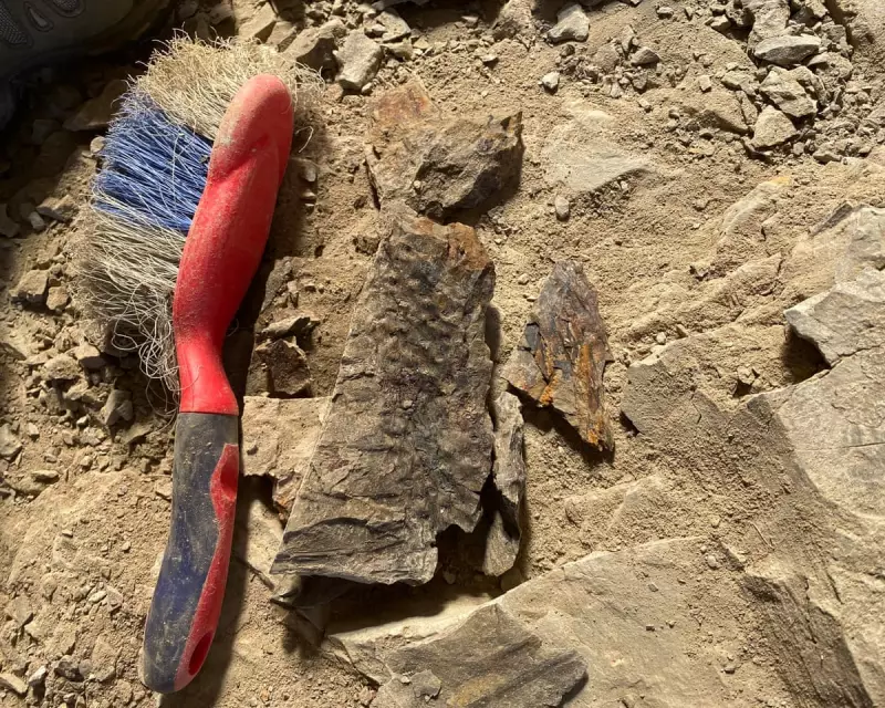 Country Diary: The Joy of Tree Brushing – How Time Flies in Nature's Embrace