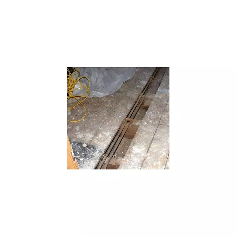 Couple's Basement Clean-Up Uncovers Hidden 17th-Century Treasure Trove