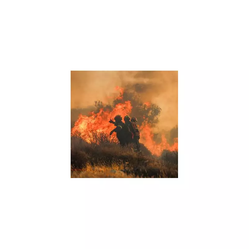 Crete Issues Urgent Warning as Extreme Heatwave Sparks Wildfire Fears