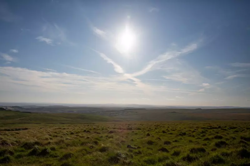 Dartmoor in Crisis: How the UK's National Parks Are Becoming Biodiversity Deserts