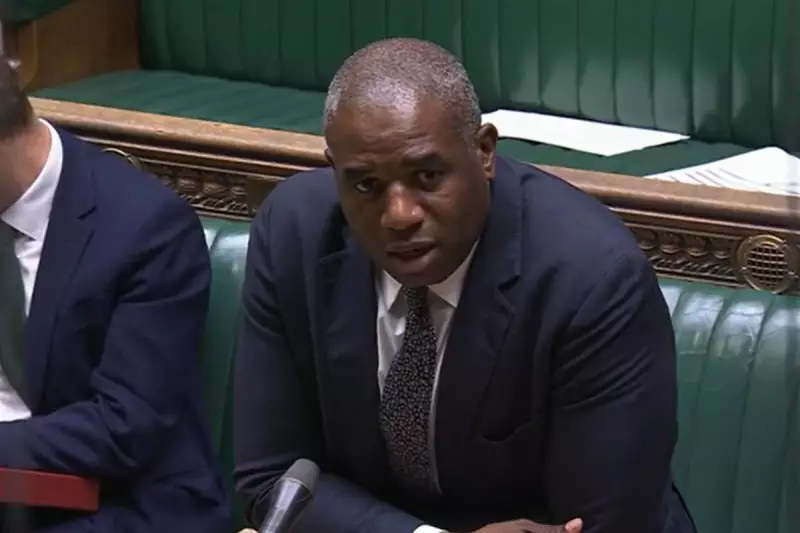 David Lammy Faces Backlash Over Comments on Palestinian Rights and Hamas