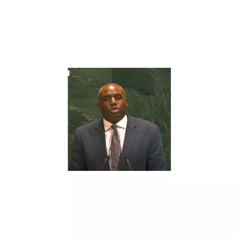 David Lammy Wins Praise at UN for Bold Speech on Global Justice