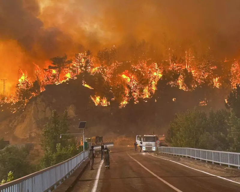 Deadly Wildfires and Scorching Heatwave Grip Turkey: Weather Tracker Report