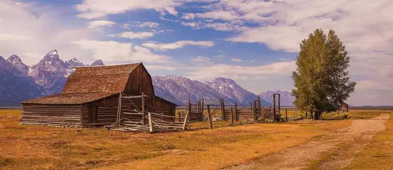 DHS Art: From Post-Propaganda to Cultural Commentary – A Bold Reinvention