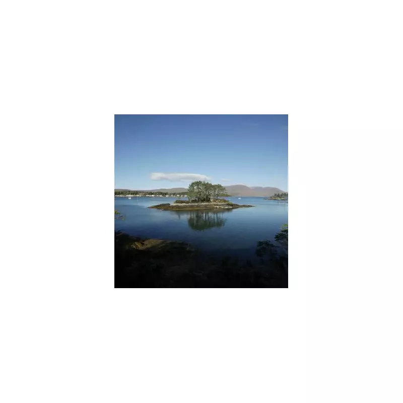 Discover Scotland's Hidden Tropical Paradise: The Charming Village with Palm Trees and Sunshine