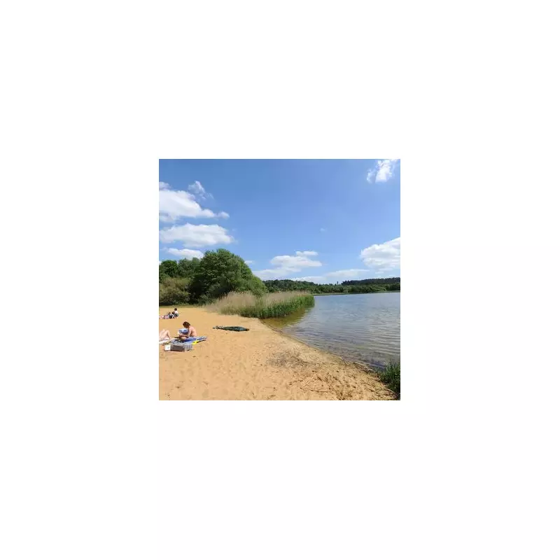 Discover the Hidden Gem: A Golden Beach Just an Hour from London